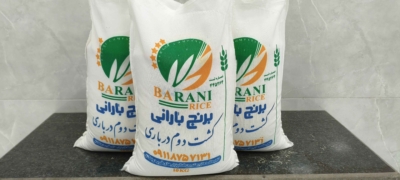 بسته‌بندی متنوع و استاندارد